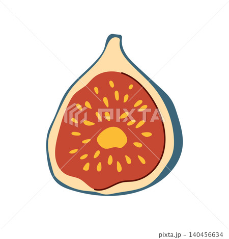 Hand drawn half of purple fig fruit with seeds vector illustration Hand drawn half of purple fig fruit with seeds vector illustration 140456634