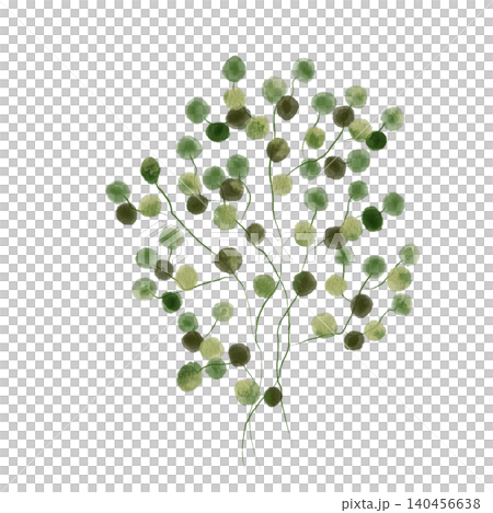 Watercolor Green Leaves Branch Clip Art, Isolated Digital Botanical Illustration png Watercolor Green Leaves Branch Clip Art, Isolated Digital Botanical Illustration png 140456638