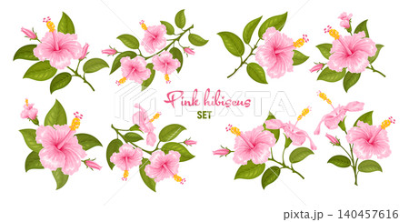 Pink Hibiscus Flowers On The Twigs Set 140457616