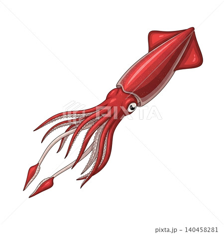 Giant Red Squid Deep Sea Creature Flat Vector 140458281