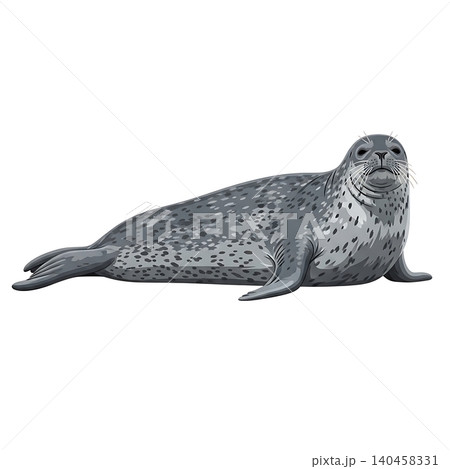 Gray Leopard Seal Spotted Fur Predator Flat Vector Gray Leopard Seal Spotted Fur Predator Flat Vector 140458331