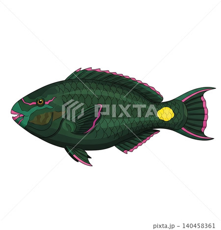 Green Stoplight Parrotfish Yellow Spot Reef Flat Vector Green Stoplight Parrotfish Yellow Spot Reef Flat Vector 140458361