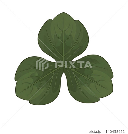 Three Lobed Green Hepatica Leaf Flat Vector Illustration Three Lobed Green Hepatica Leaf Flat Vector Illustration 140458421