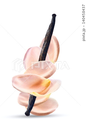 Rose petals with vanilla slick in closeup 140458437