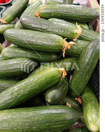 Fresh green cucumbers piled high in a retail bin, showcasing healthy, organic produce for sale, representing nutrition, vegetarian food, and market abundance 140458934