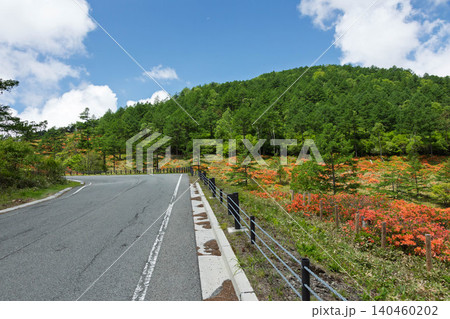 初夏の湯の丸高原 初夏の湯の丸高原 140460202