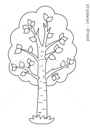 Vector black and white cartoon birch icon. Garden, forest, woodland line tree with white trunk and leaves. Outline spring, farm plant illustration. Natural greenery picture, coloring page Vector black and white cartoon birch icon. Garden, forest, woodland line tree with white trunk and leaves. Outline spring, farm plant illustration. Natural greenery picture, coloring page 140460518