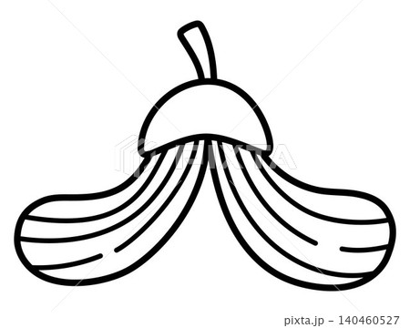 Maple fruit or seed black and white cartoon illustration. Samara line clipart. Acer icon isolated on white background. Botanical picture. Woodland plant bloom and leaves coloring page Maple fruit or seed black and white cartoon illustration. Samara line clipart. Acer icon isolated on white background. Botanical picture. Woodland plant bloom and leaves coloring page 140460527