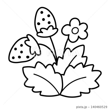Vector black and white cartoon strawberry clipart. Woodland, forest or garden plant line icon isolated on white background. Forest nature berry illustration, coloring page. Cottage core harvest Vector black and white cartoon strawberry clipart. Woodland, forest or garden plant line icon isolated on white background. Forest nature berry illustration, coloring page. Cottage core harvest 140460529