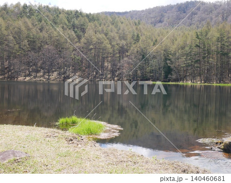 茅野市・御射鹿池の穏やかな水鏡と対岸に広がる広大な森・風景素材 140460681