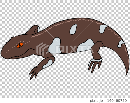 A stylized illustration of Eryops from the Permian period. A stylized illustration of Eryops from the Permian period. 140460720