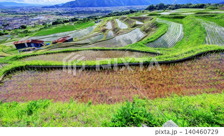 田植えの終わった姨捨の棚田 140460729