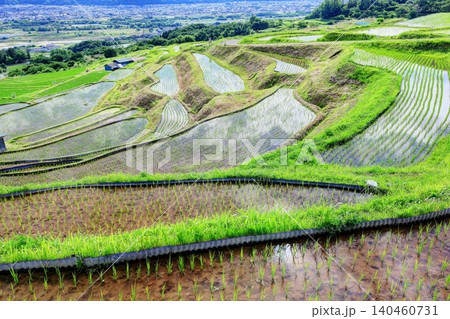 田植えの終わった姨捨の棚田 田植えの終わった姨捨の棚田 140460731