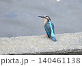 カワセミさん 140461138