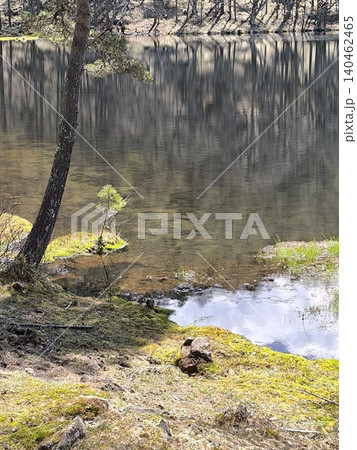 長野県茅野市・御射鹿池の澄んだ水面と苔むす美しい岸辺の風景（縦位置） 140462465