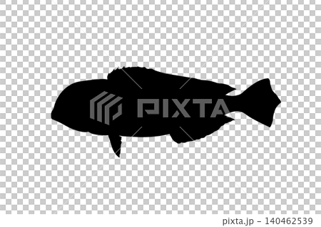 紅鯛魚的剪影插圖 紅鯛魚的剪影插圖 140462539