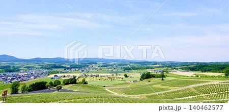 ラベンダーが咲く北海道上富良野町日の出公園からの上富良野市街地 ラベンダーが咲く北海道上富良野町日の出公園からの上富良野市街地 140462577