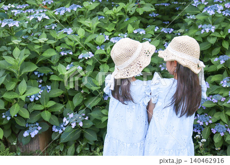 紫陽花を眺めるおそろいコーデの姉妹の後ろ姿 紫陽花を眺めるおそろいコーデの姉妹の後ろ姿 140462916