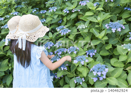 紫陽花に触れながら観察する麦わら帽子の女の子 紫陽花に触れながら観察する麦わら帽子の女の子 140462924