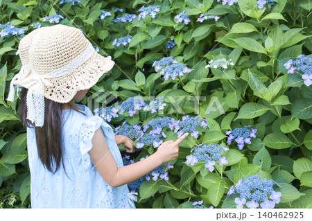 紫陽花を指差して観察する麦わら帽子の女の子 紫陽花を指差して観察する麦わら帽子の女の子 140462925