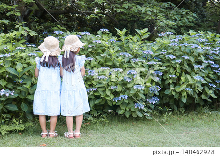 紫陽花が咲く公園で並んで花を眺める姉妹の後ろ姿 紫陽花が咲く公園で並んで花を眺める姉妹の後ろ姿 140462928