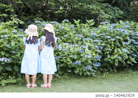 紫陽花が咲く公園で寄り添いながら花を眺める姉妹の後ろ姿 紫陽花が咲く公園で寄り添いながら花を眺める姉妹の後ろ姿 140462929