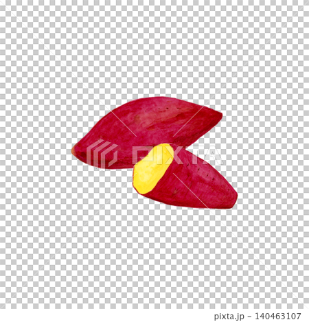 Hand-painted watercolor illustration of a whole roasted sweet potato and a cross-section of a roasted sweet potato, a taste of autumn. 140463107