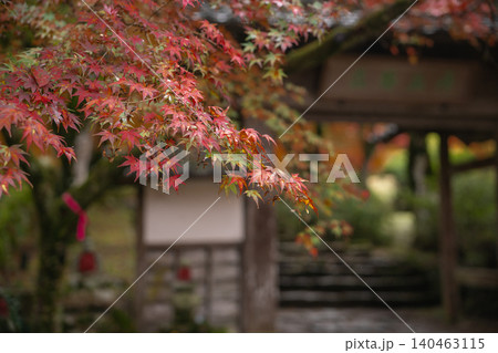 丹波紅葉三山の一つ兵庫県丹波市の高源寺秋の紅葉を撮影 丹波紅葉三山の一つ兵庫県丹波市の高源寺秋の紅葉を撮影 140463115