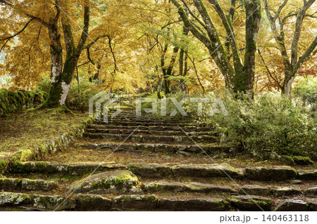 丹波紅葉三山の一つ兵庫県丹波市の高源寺秋の紅葉を撮影 丹波紅葉三山の一つ兵庫県丹波市の高源寺秋の紅葉を撮影 140463118