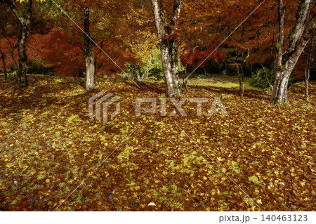 丹波紅葉三山の一つ兵庫県丹波市の高源寺秋の紅葉を撮影 丹波紅葉三山の一つ兵庫県丹波市の高源寺秋の紅葉を撮影 140463123