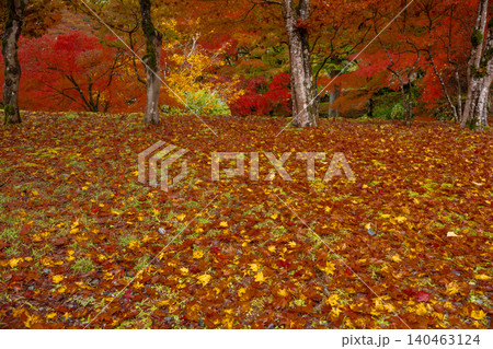 丹波紅葉三山の一つ兵庫県丹波市の高源寺秋の紅葉を撮影 140463124