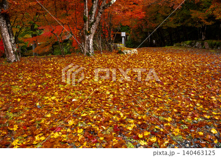 丹波紅葉三山の一つ兵庫県丹波市の高源寺秋の紅葉を撮影 140463125