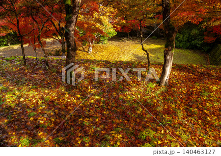 丹波紅葉三山の一つ兵庫県丹波市の高源寺秋の紅葉を撮影 丹波紅葉三山の一つ兵庫県丹波市の高源寺秋の紅葉を撮影 140463127