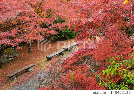 丹波紅葉三山の一つ兵庫県丹波市の高源寺秋の紅葉を撮影 140463129