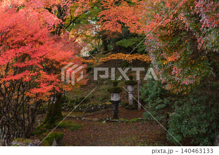 丹波紅葉三山の一つ兵庫県丹波市の高源寺秋の紅葉を撮影 140463133