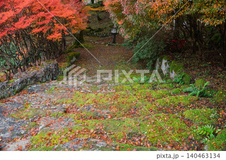 丹波紅葉三山の一つ兵庫県丹波市の高源寺秋の紅葉を撮影 丹波紅葉三山の一つ兵庫県丹波市の高源寺秋の紅葉を撮影 140463134