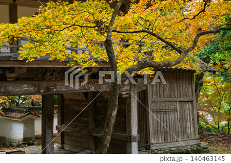 丹波紅葉三山の一つ兵庫県丹波市の高源寺秋の紅葉を撮影 140463145