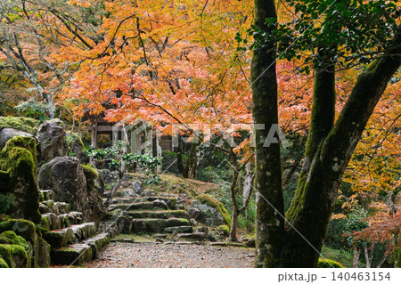 丹波紅葉三山の一つ兵庫県丹波市の高源寺秋の紅葉を撮影 丹波紅葉三山の一つ兵庫県丹波市の高源寺秋の紅葉を撮影 140463154