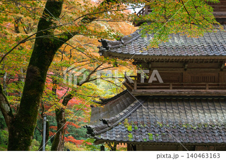 丹波紅葉三山の一つ兵庫県丹波市の高源寺秋の紅葉を撮影 140463163
