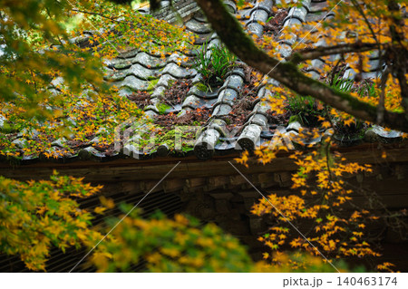 丹波紅葉三山の一つ兵庫県丹波市の高源寺秋の紅葉を撮影 140463174