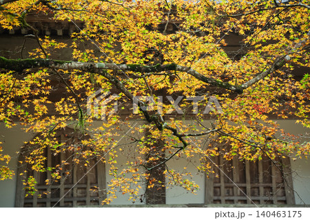 丹波紅葉三山の一つ兵庫県丹波市の高源寺秋の紅葉を撮影 丹波紅葉三山の一つ兵庫県丹波市の高源寺秋の紅葉を撮影 140463175