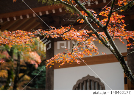丹波紅葉三山の一つ兵庫県丹波市の高源寺秋の紅葉を撮影 丹波紅葉三山の一つ兵庫県丹波市の高源寺秋の紅葉を撮影 140463177