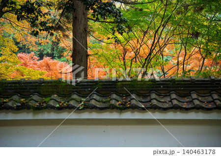 丹波紅葉三山の一つ兵庫県丹波市の高源寺秋の紅葉を撮影 140463178