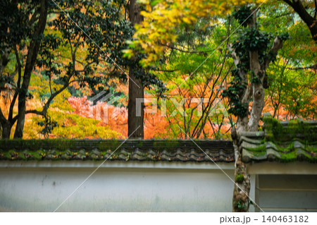 丹波紅葉三山の一つ兵庫県丹波市の高源寺秋の紅葉を撮影 丹波紅葉三山の一つ兵庫県丹波市の高源寺秋の紅葉を撮影 140463182