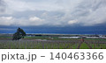 雲の隙間に見える田んぼ 140463366