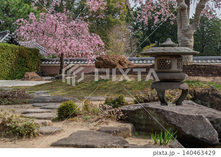 京都市西京区正法寺に春本番に咲き誇る桜を撮影 京都市西京区正法寺に春本番に咲き誇る桜を撮影 140463429