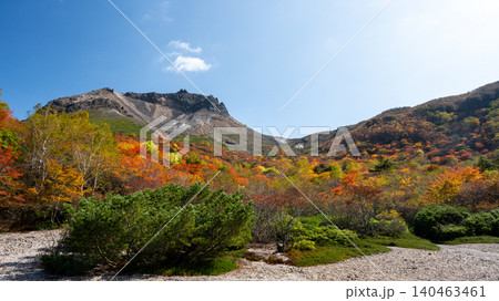 【栃木県】那須岳 紅葉の秋 姥ヶ平から望む茶臼岳 【栃木県】那須岳 紅葉の秋 姥ヶ平から望む茶臼岳 140463461