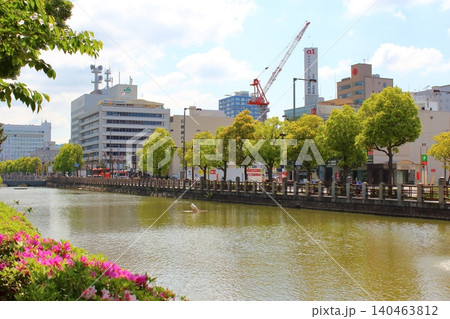 【愛媛県松山市】 松山城 堀之内 城山公園 松山市役所 南堀端 【愛媛県松山市】 松山城 堀之内 城山公園 松山市役所 南堀端 140463812