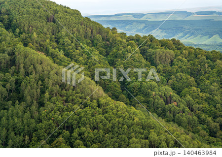 Summer Mountains Landscape with Green forest. 140463984