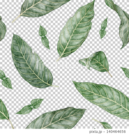 Seamless pattern of tropical Sanchezia speciosa. Hand drawn watercolor illustration with green exotic leaves in botanical style. Decorative background design for summer wallpaper or floral textile Seamless pattern of tropical Sanchezia speciosa. Hand drawn watercolor illustration with green exotic leaves in botanical style. Decorative background design for summer wallpaper or floral textile 140464656